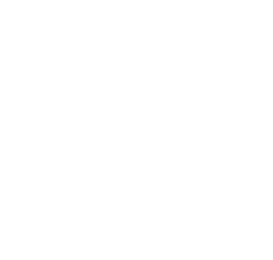 ValoraApp Logo